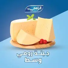 Shamseen Rumi Cheese