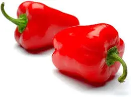 Shamseen Red Capsicum