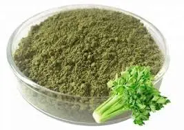 Shamseen Celery Powder