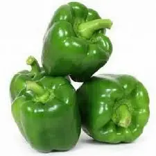 Shamseen green Capsicum