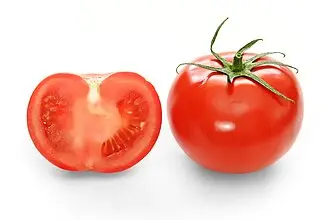  طماطم فرش  شمسين 